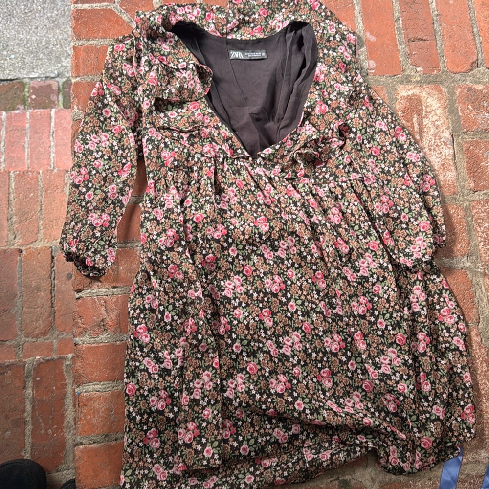 Zara rose dress